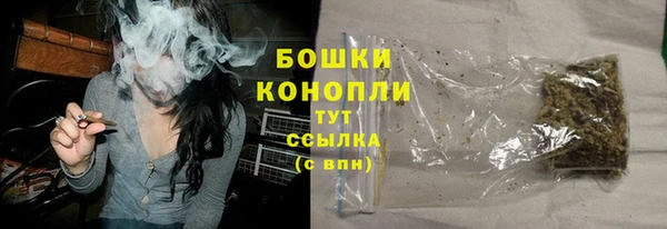 гидра Жердевка