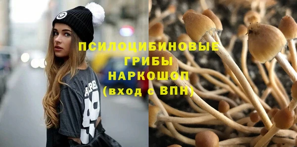 эйфоретик Алзамай