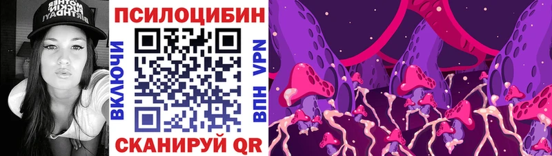 Псилоцибиновые грибы MAGIC MUSHROOMS  наркота  Тосно 