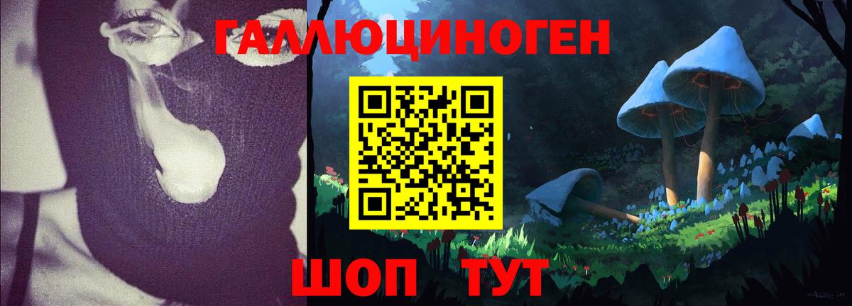 Тосно  Галлюциногенные грибы GOLDEN TEACHER  где можно купить   Вход с VPN 