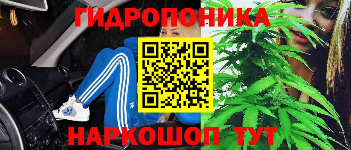 Бошки марихуана Ganja Тосно